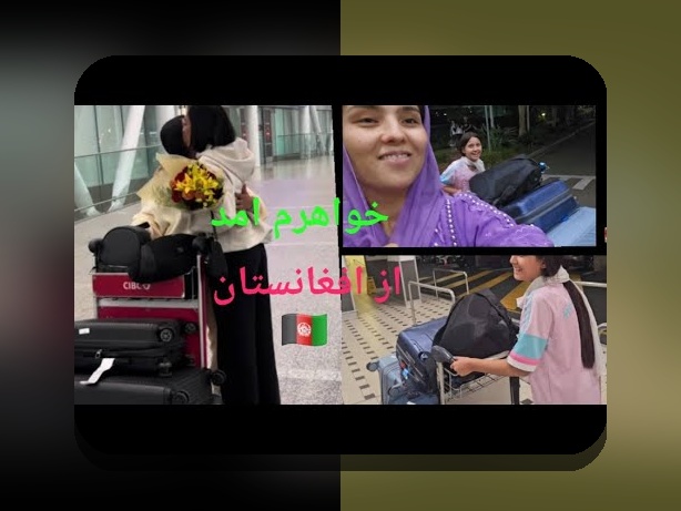 مروری جامع بر چالشها و راهحلهای وان توتوتو ترین